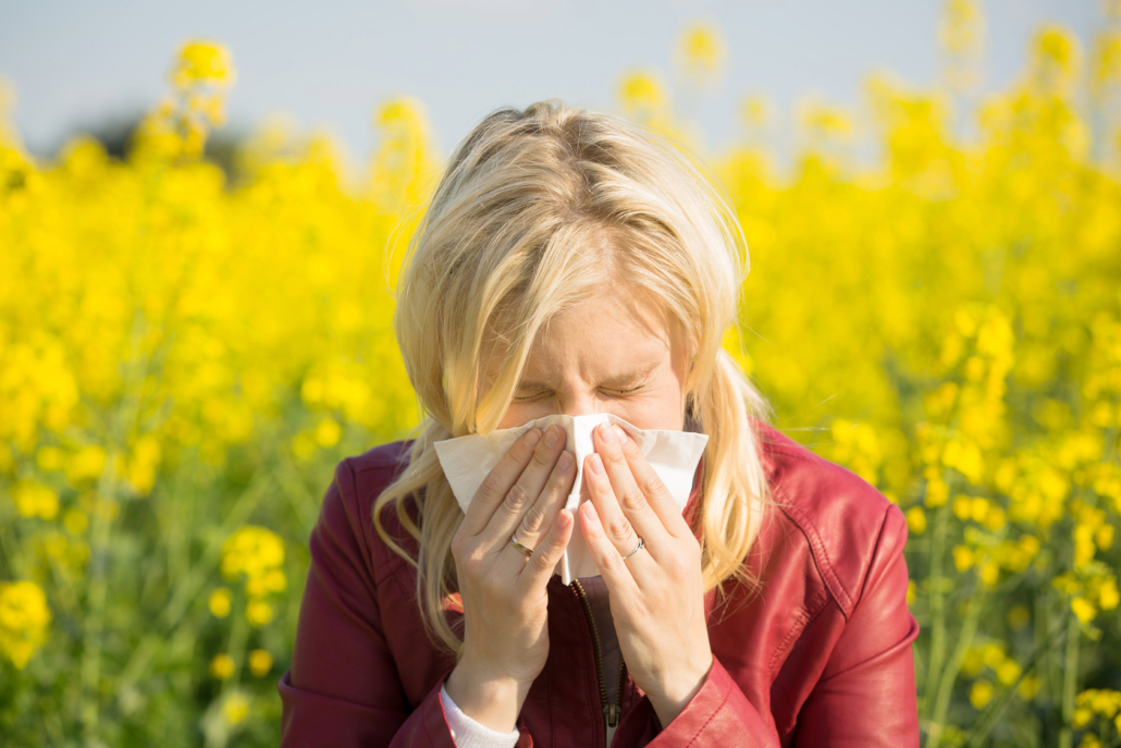 Allergie und Immunsystem